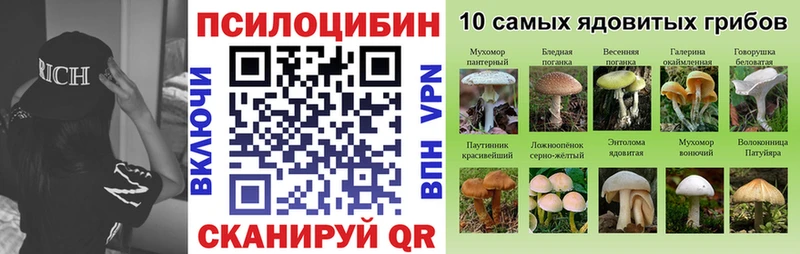Галлюциногенные грибы Magic Shrooms  Буй 